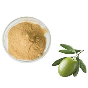 3,4-Dihydroxyphenylethanol; Olive leaf extract
