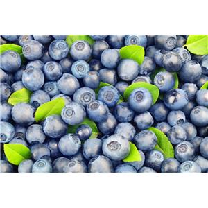 Pterostilbene；Blueberry extract