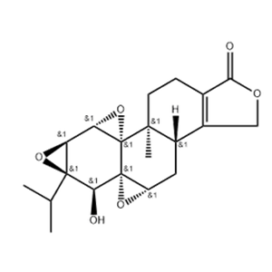 Chiral isomer of triptolide