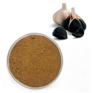 Black garlic extract