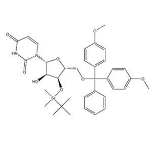 5'-O-(4,4'-DiMethoxytrityl)-3'-O-t-butyldiMethylsilyl uridine