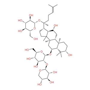 Panax notoginseng extract