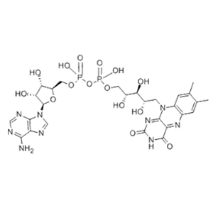 FLAVIN ADENINE DINUCLEOTIDE