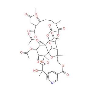 Triptonine B; Tripterygium wilfovdii extract