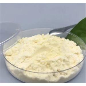 Hydroxyecdysone