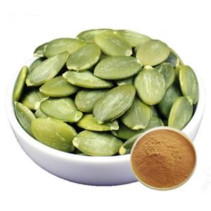 Pumpkin Seed Extra