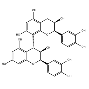 PROCYANIDIN B2