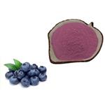 Blueberry freeze-dried powder pictures
