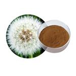 Dandelion extract flavonoids pictures