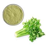 Celery powder pictures