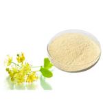 Tilia Flower Extract pictures