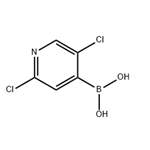 2,5-Dichloropyridine-4-boronic acid pictures
