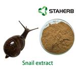 Snail Extract pictures