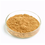 Maca Root Extract pictures