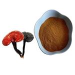 Ganoderma Extract  pictures