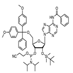 Bz-rA Phosphoramidite pictures