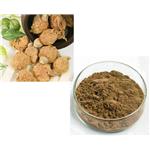 Maca extract powder pictures