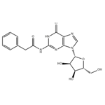N2-Phenylacetyl guanosine  pictures