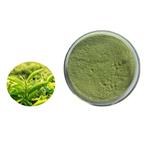 Green tea powder; Instant green tea powder pictures