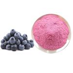 Powdered Bilberry Extract pictures