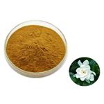 Jasmine powder; Jasmine extract pictures