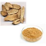Aucklandia Root Extract pictures