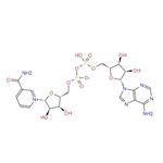 β-Nicotinamide adenine dinucleotide pictures