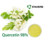 Sophora japonica extract quercetin pictures