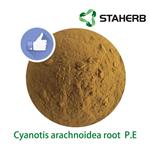 Cyanotis arachnoidea root  P.E pictures