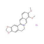 Berberine hydrochloride pictures