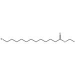 Dodecanoic acid, 12-bromo-, ethyl ester pictures