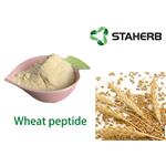 GLUTEN; Wheat peptide pictures