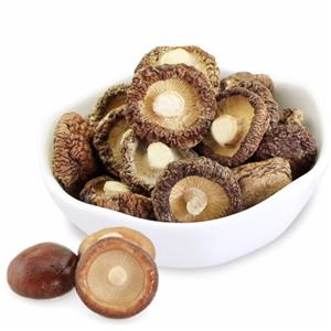 shiitake mushroom extract