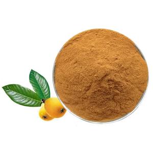 Loquat leaf powder