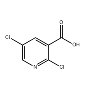 2,5-Dichloronicotinic acid