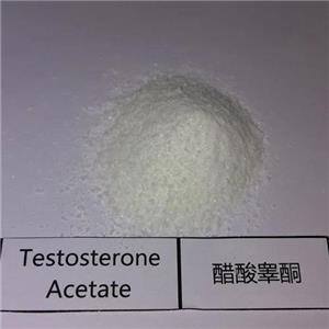 Testosterone Acetate