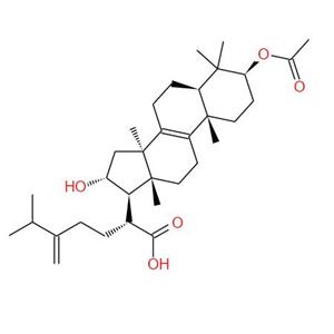 Pachymic acid