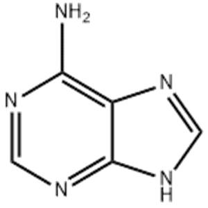 Adenine