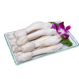 Coprinus Comatus Extract