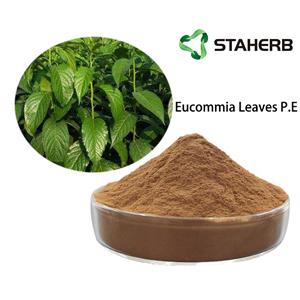 Chlorogenic acid in eucommia ulmoides leaves