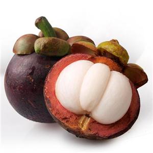 Garcinia mangostana, ext.