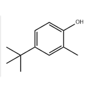 4-TERT-BUTYL-2-METHYLPHENOL