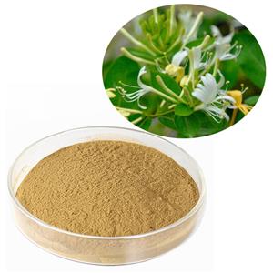 Chlorogenic acid; Honeysuckle Extract