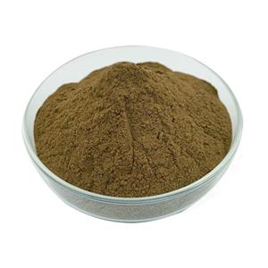 Chaga extract