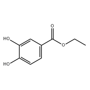 Ethyl 3,4-dihydroxybenzoate