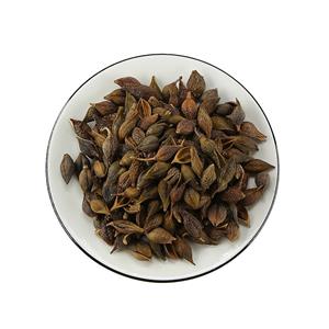 Weeping Forsythia Extract CP2000