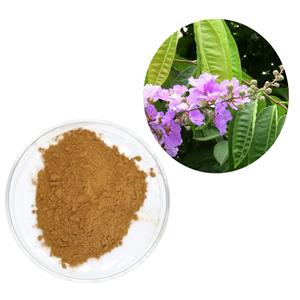 Banaba Leaf Extract