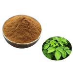 Agrimory Extract pictures