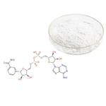 β-Nicotinamide adenine dinucleotide pictures