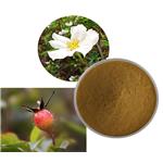 Cherokee Rose extract pictures